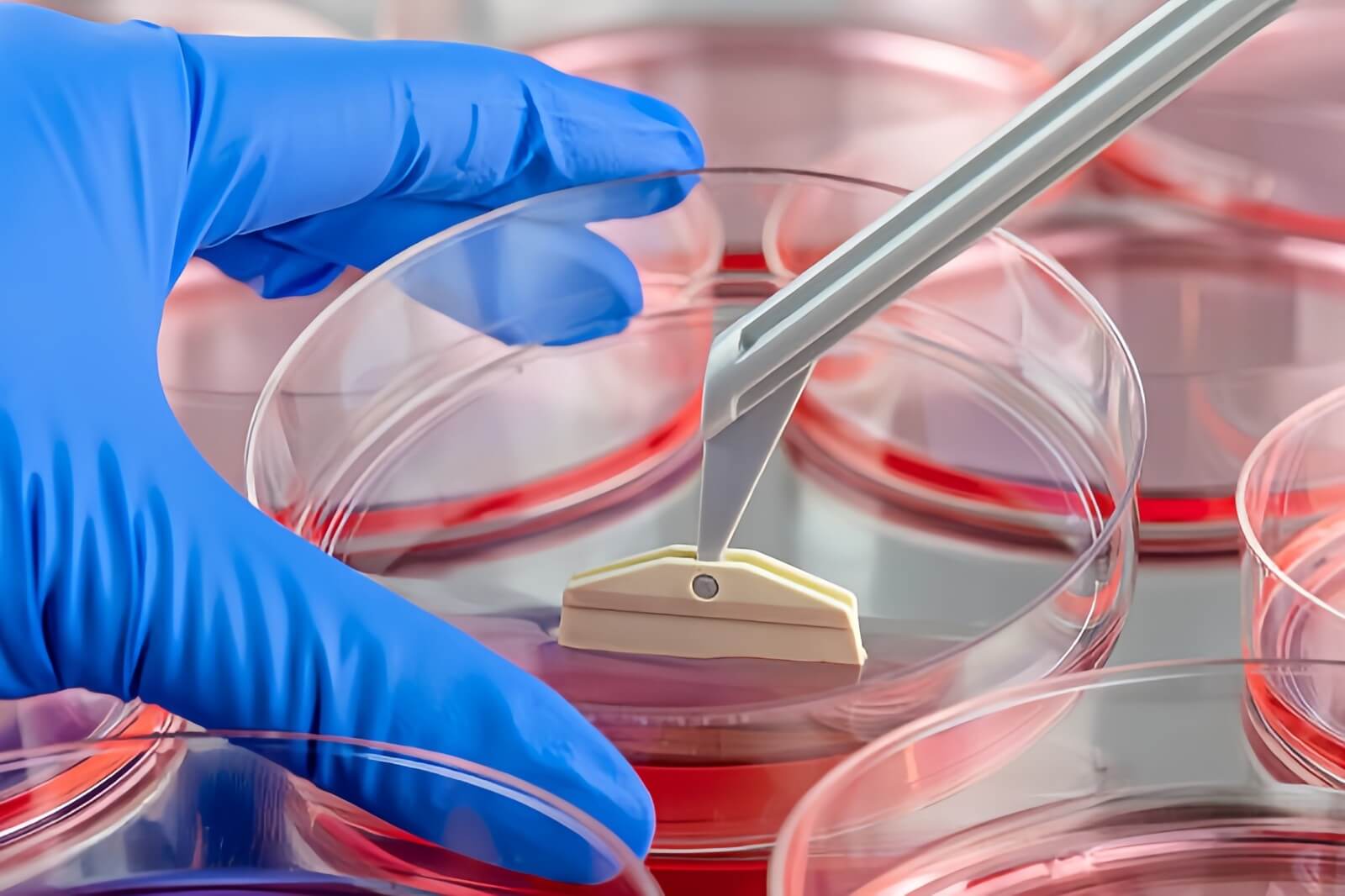 1693038564367819.jpg ×÷ÓýÃó1.jpg